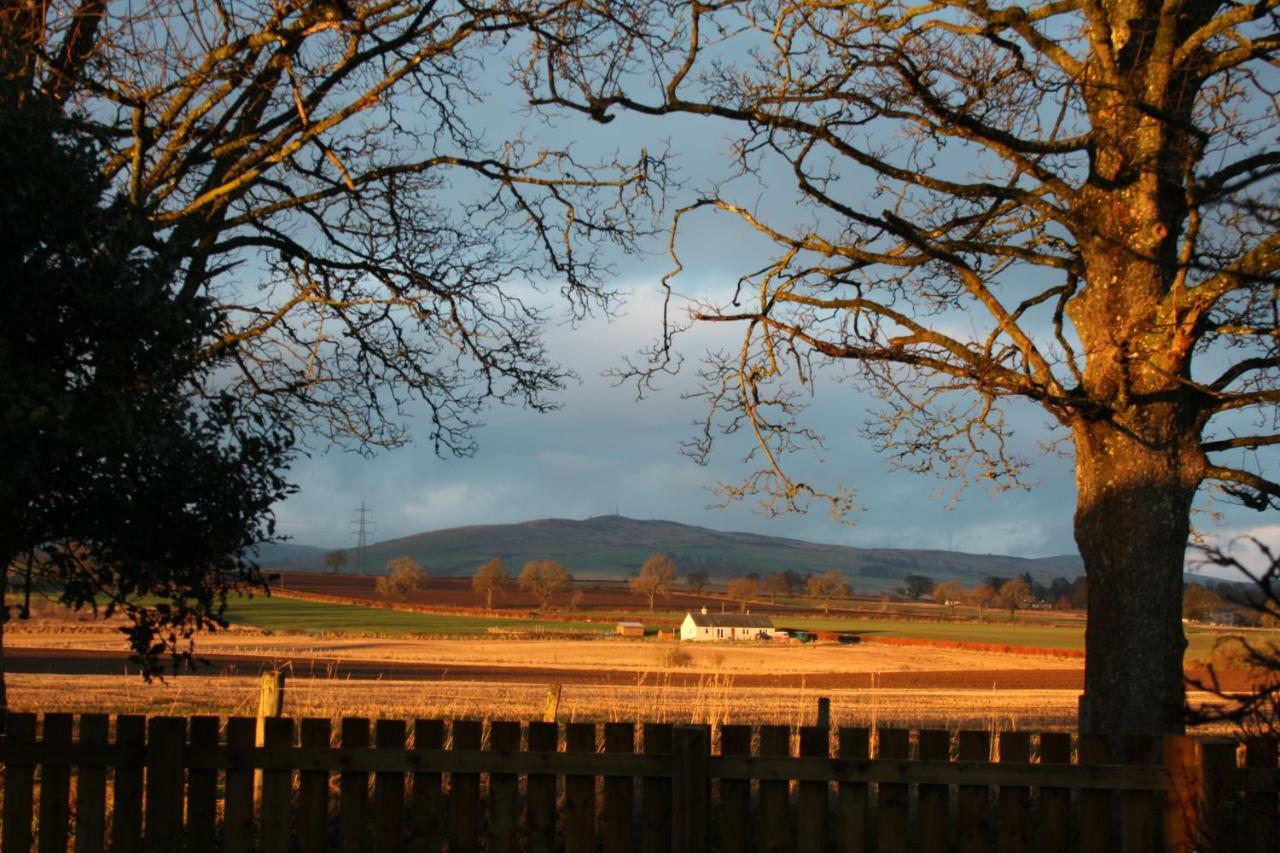Bed and Breakfast The Highlandman Station Crieff Esterno foto